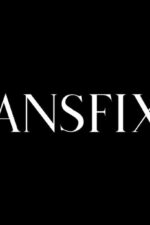 $7.49 Transfixed Discount (Up To 76% Off)