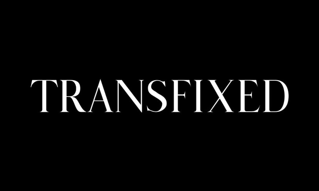 $7.49 Transfixed Discount (Up To 76% Off)